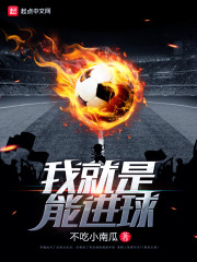 �Ҿ����ܽ���