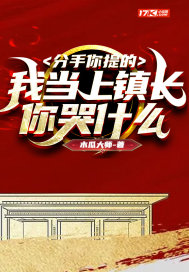 分手你提的,我当上镇长你哭什么