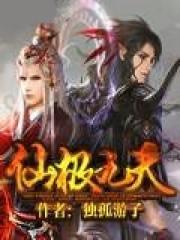 �ɼ�����