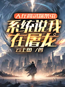 ���ڸ�������棬ϵͳ˵��������