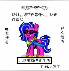 ��С����ʼ���������